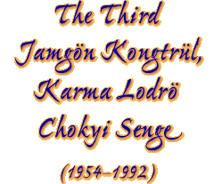 The Third Jamgon Kongtrul, Karma Lodro Chokyi Senge (1954-1992)